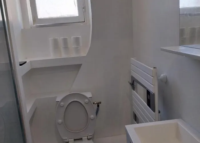 Le Figuier * Le Mans